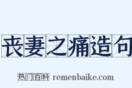 丧妻之痛造句是什么意思的图片